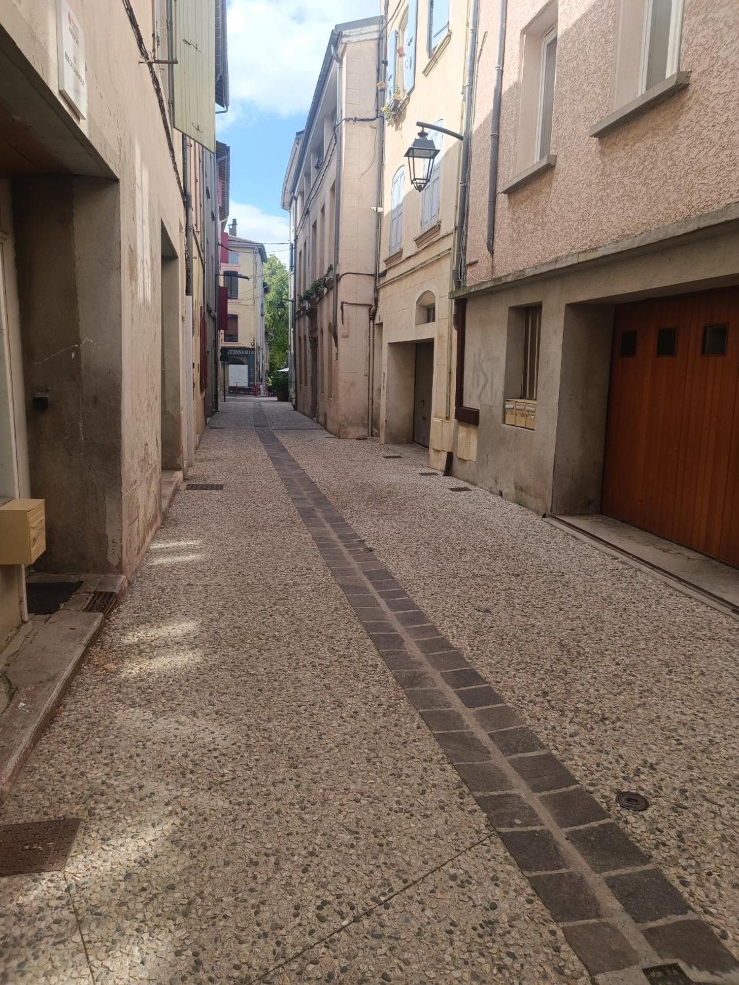 Grand Studio Meuble Chez Coco Romans-sur-Isere Ngoại thất bức ảnh