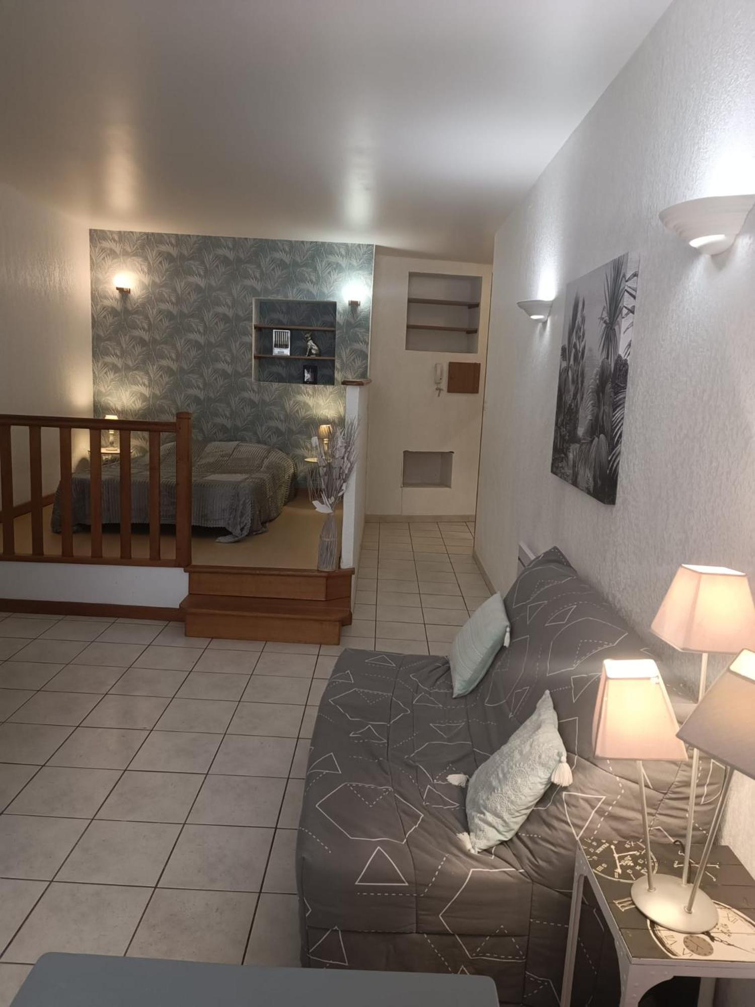 Grand Studio Meuble Chez Coco Romans-sur-Isere Ngoại thất bức ảnh